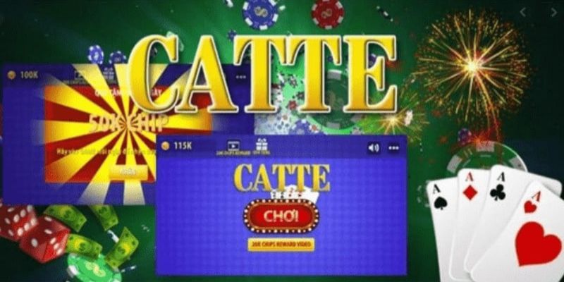 Chi tiết về bài catte.