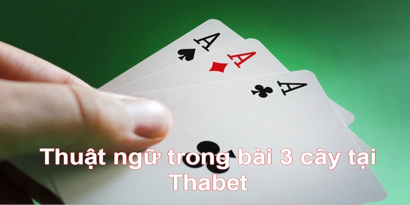 Cần nắm rõ thuật ngữ khi chiến game bài 3 cây