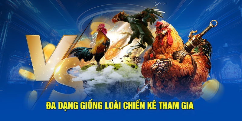 Đa dạng giống loài chiến kê tham gia