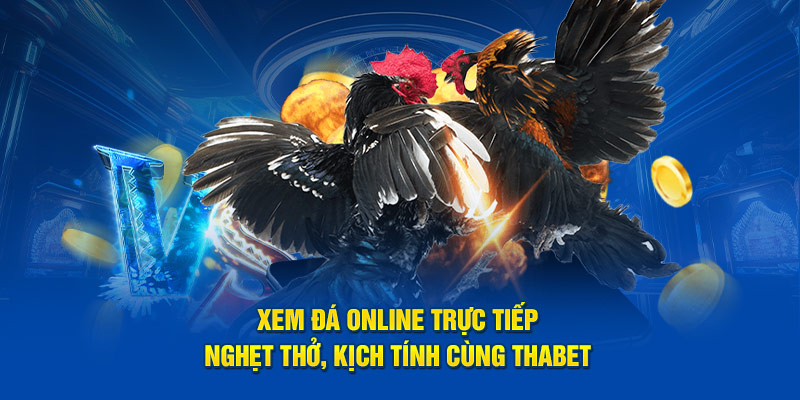 Xem Đá Online Trực Tiếp - Nghẹt Thở, Kịch Tính